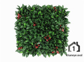 گرین وال (دیوار سبز مصنوعی ) رد رابین