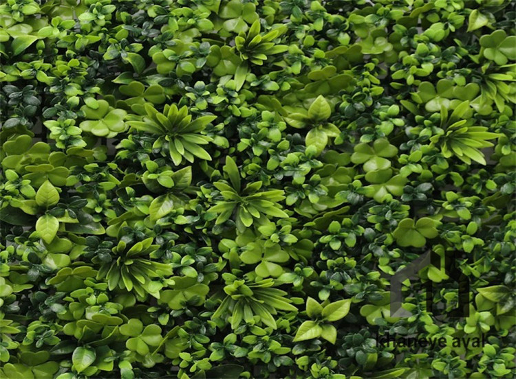 گرین وال (دیوار سبز مصنوعی ) سدوم