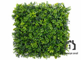 گرین وال (دیوار سبز مصنوعی ) سدوم