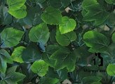 گرین وال ( دیوار سبز مصنوعی ) برکن میکس