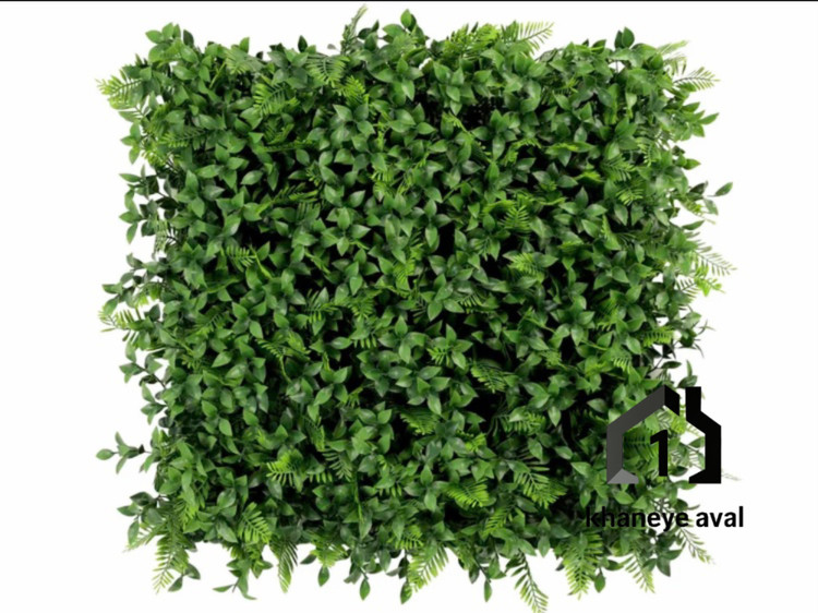 گرین وال (دیوار سبز مصنوعی) سرخس