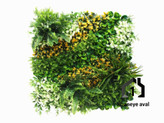 گرین وال (دیوار سبز مصنوعی ) بوته نارنجی