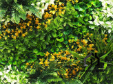 گرین وال (دیوار سبز مصنوعی ) بوته نارنجی