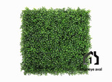 گرین وال (دیوار سبز مصنوعی) شمشاد ترکیبی سبز