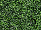 گرین وال (دیوار سبز مصنوعی) شمشاد ترکیبی سبز