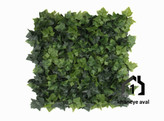 گرین وال (دیوار سبز مصنوعی ) پیچک