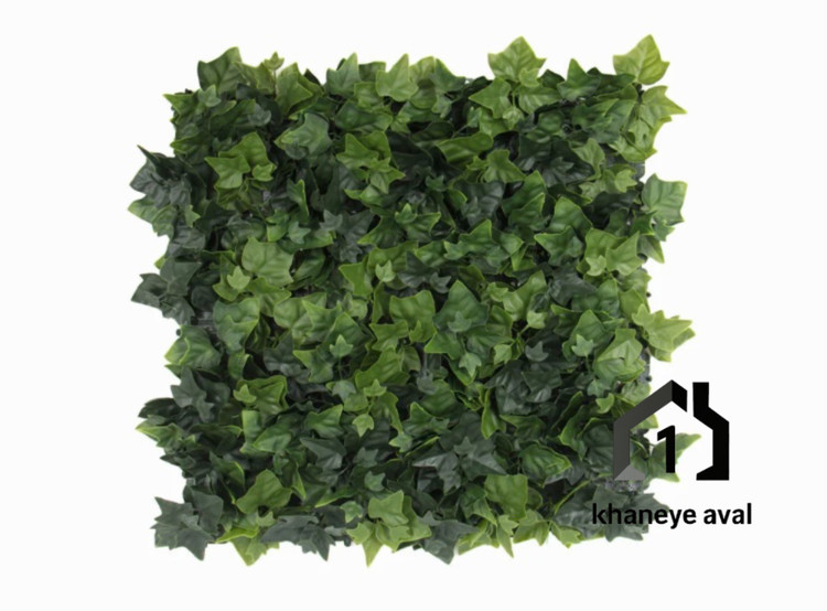 گرین وال (دیوار سبز مصنوعی ) پیچک