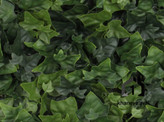 گرین وال (دیوار سبز مصنوعی ) پیچک