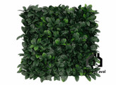 گرین وال (دیوار سبز مصنوعی) گاردنیا