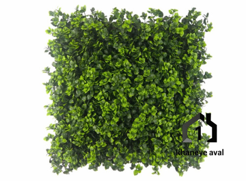 گرین وال (دیوار سبز مصنوعی) پیچک برگستارهای