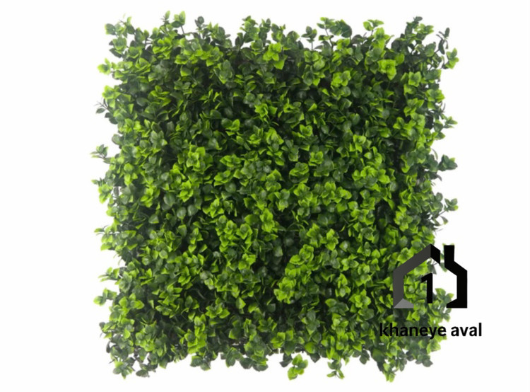 گرین وال (دیوار سبز مصنوعی) پیچک برگستارهای