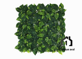 گرین وال (دیوار سبز مصنوعی ) اورئوم