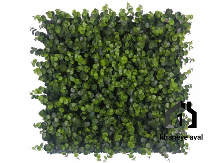 گرین وال (دیوار سبز مصنوعی ) اکالیپتوس