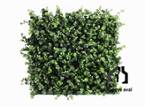 گرین وال (دیوار سبز مصنوعی )دیسکیدیا سفید