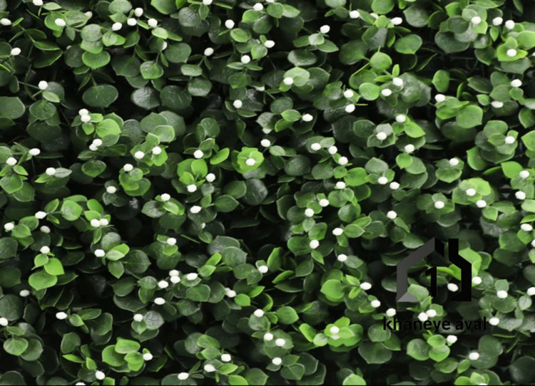 گرین وال (دیوار سبز مصنوعی )دیسکیدیا سفید